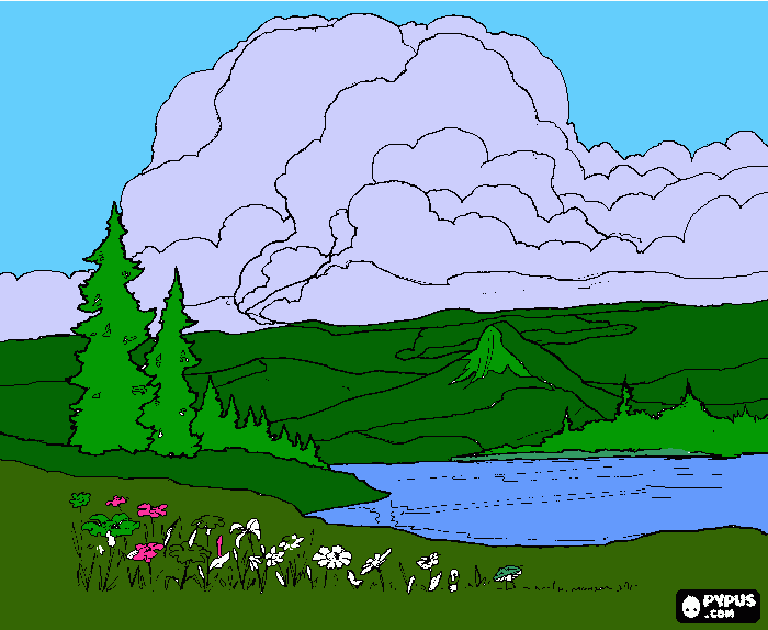 campo bello para colorear