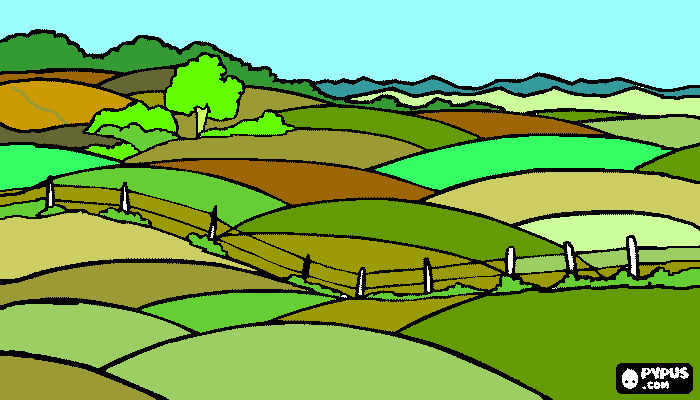 campo c cerco para colorear