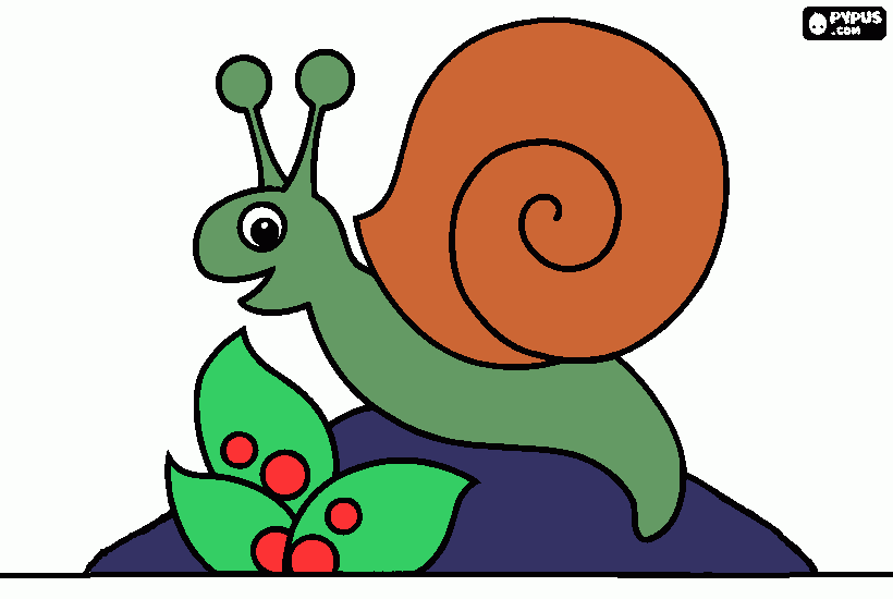 caracol para colorear