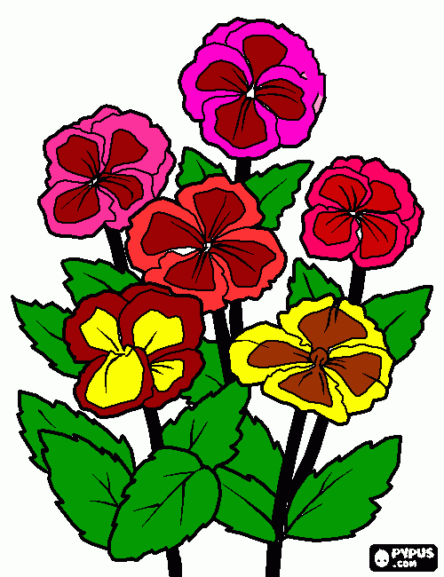 cariño para colorear