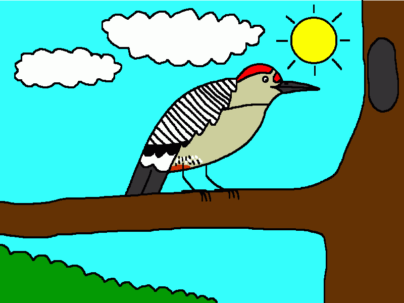 carpintero cheje para colorear