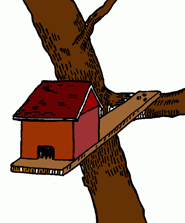 casa pajaro para colorear