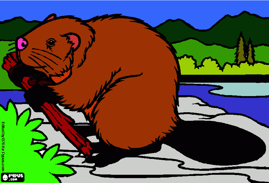 Castor de Pablo para colorear