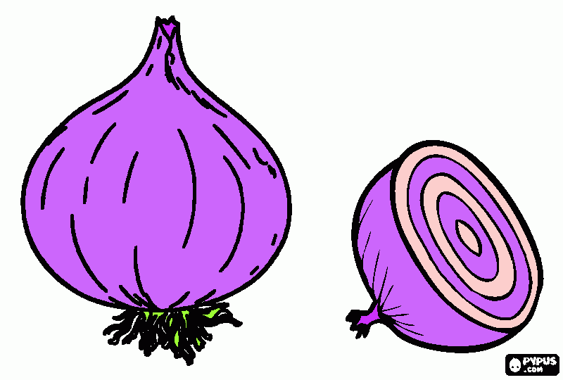cebolla para colorear