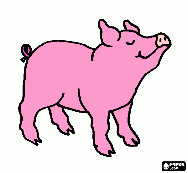 Chancho para colorear
