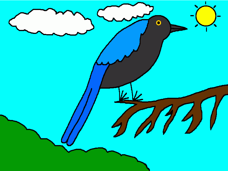 chara yucateca adulta para colorear