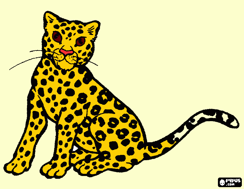 chita para colorear