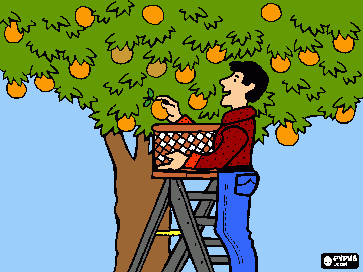 CHONTADURO para colorear