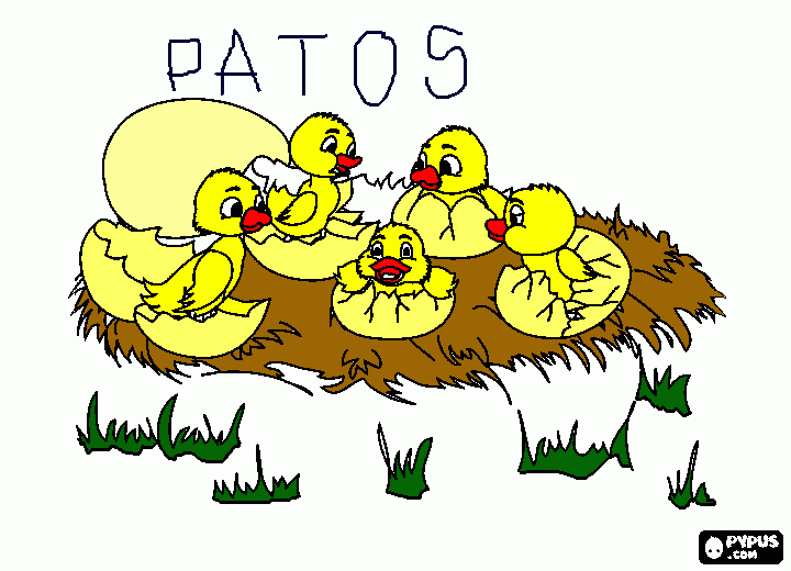 CINCO PATITOS para colorear