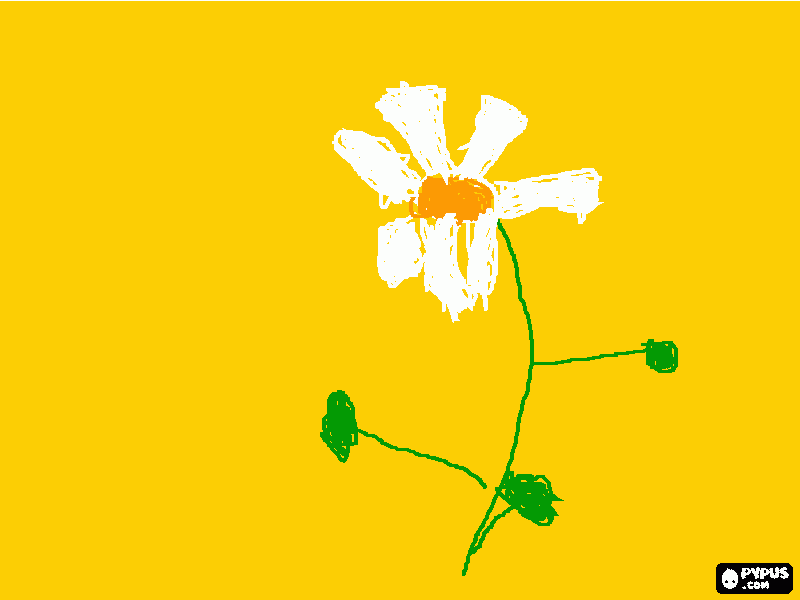 clase diseño una flor blanca para colorear