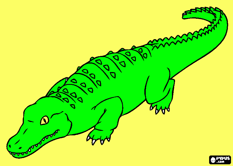 cocodrilo gigante para colorear