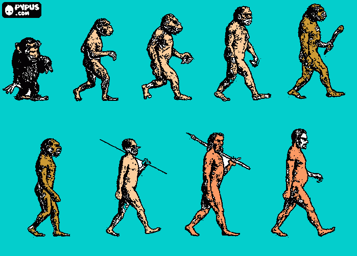 Colorear Secuencia de la evolución humana desde el australopithecus Lucy hasta el hombre moderno pasando entre otros por los hombres de Heidelberg, Pekín, Neanderthal y Cromagnon para colorear