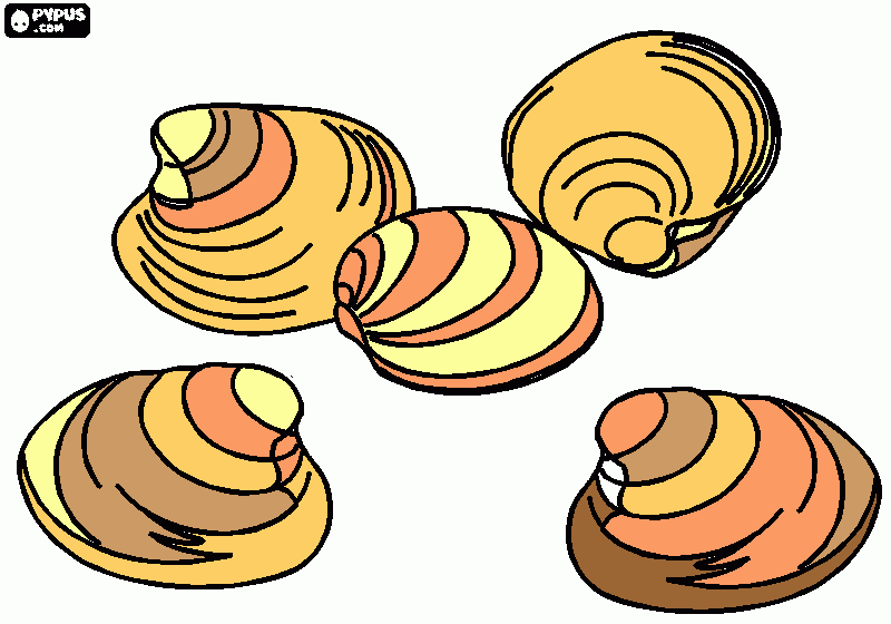 conchas para colorear