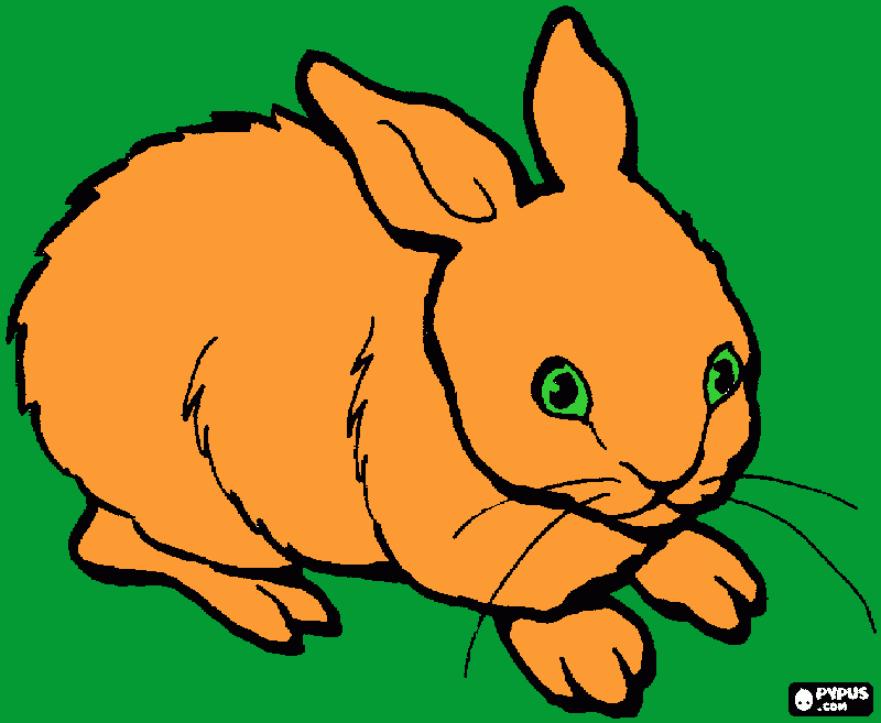 Conejo en el bosque  para colorear