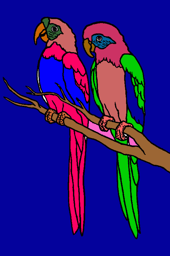 cotorras para pintar para colorear