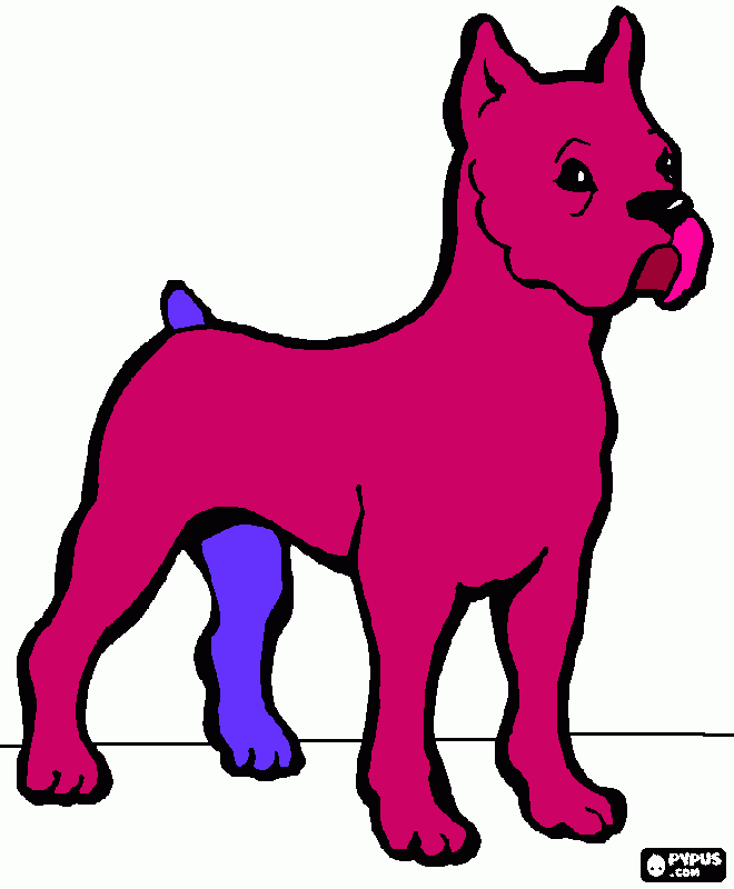 coyti para colorear