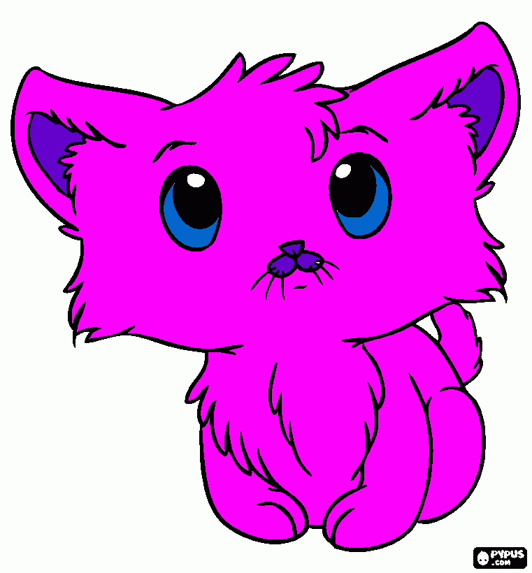 cria de gato gatito para colorear