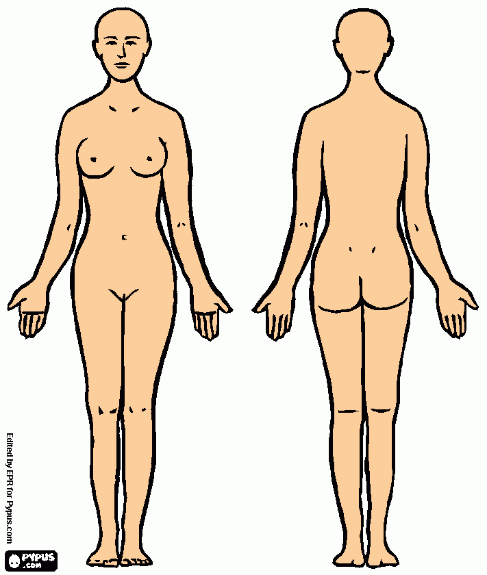 cuerpo humano por delante y detras para colorear
