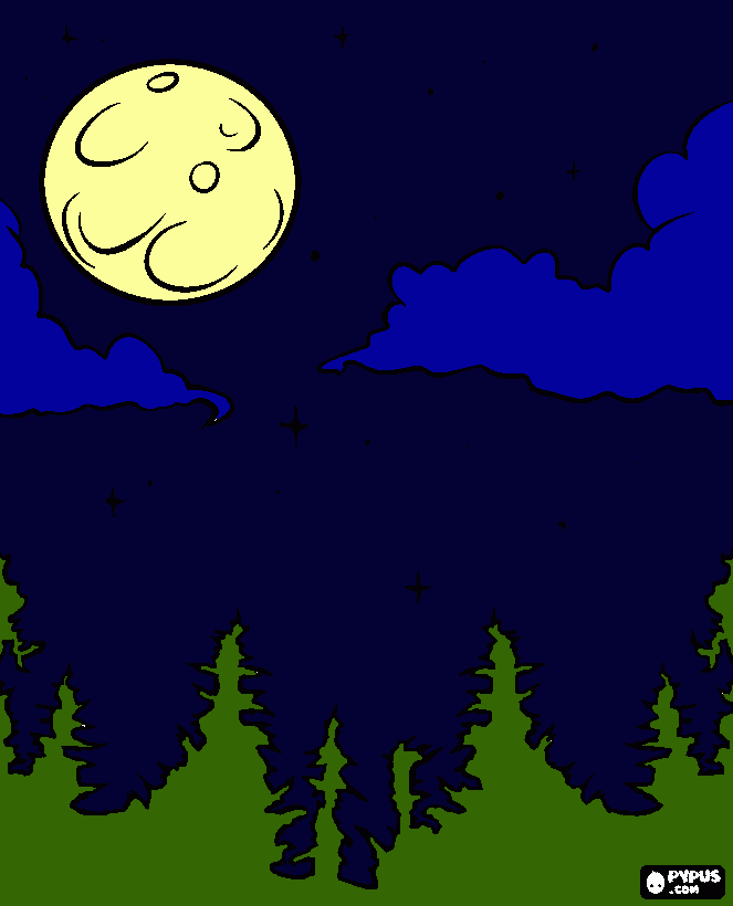 de noche en el bosque para colorear