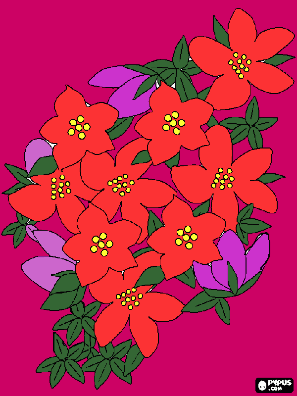 dibo pintao para colorear