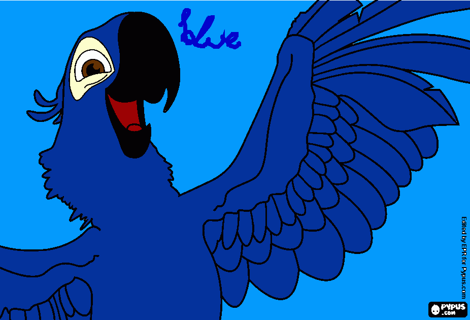 Dibujo de blue papa guacamayo para colorear