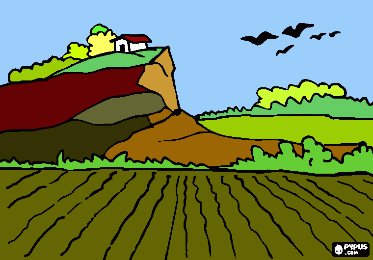 dibujo de campo para colorear