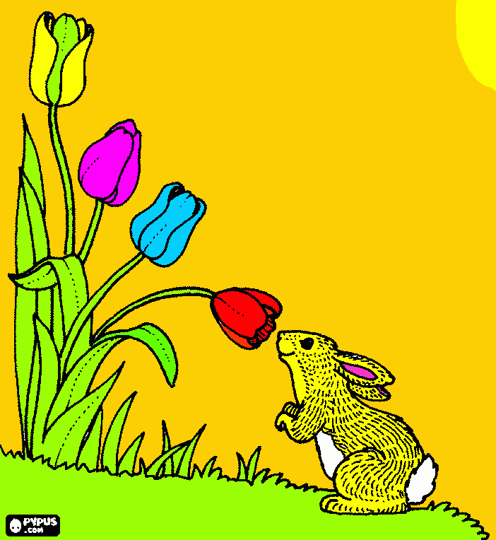 dibujo de conego en un campo para colorear