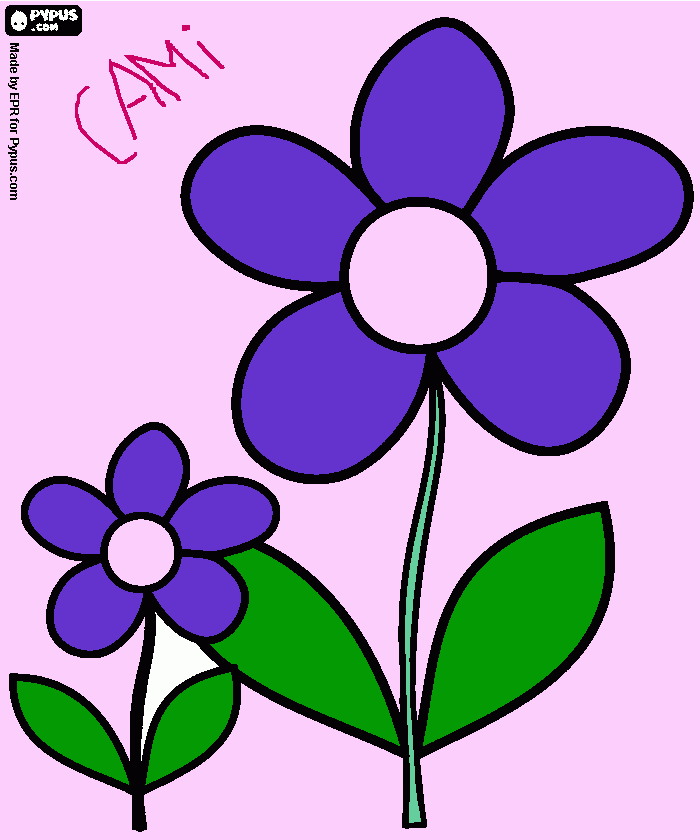 Dibujo de dos flores moradas para colorear
