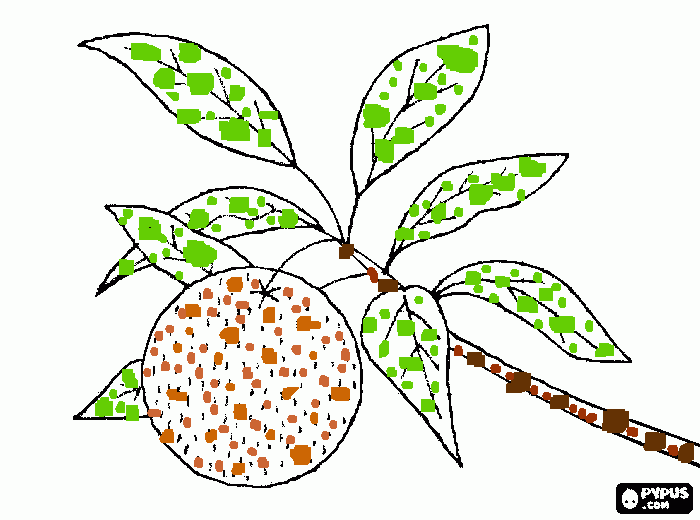 DIBUJO DE MANDARINA, pintado con puntitos para colorear