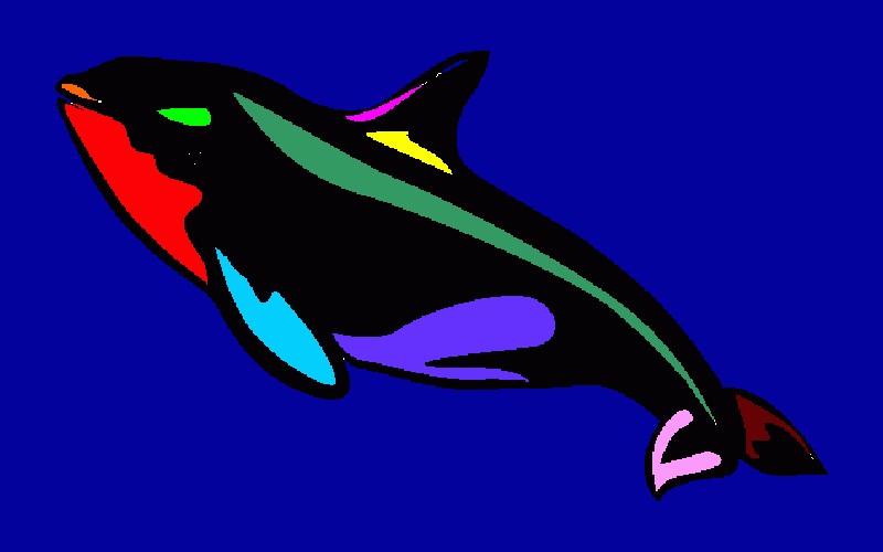 Dibujo de Orca para colorear