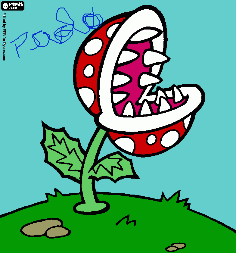 Dibujo de Paolo para colorear