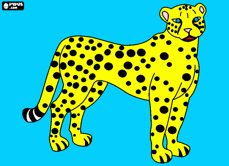 dibujo guepardo para colorear
