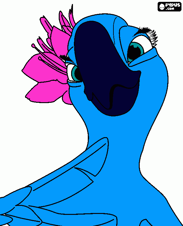 dibujo hermoso de perla personaje increible de rio en esa pelicula es un ave muy bello para colorear