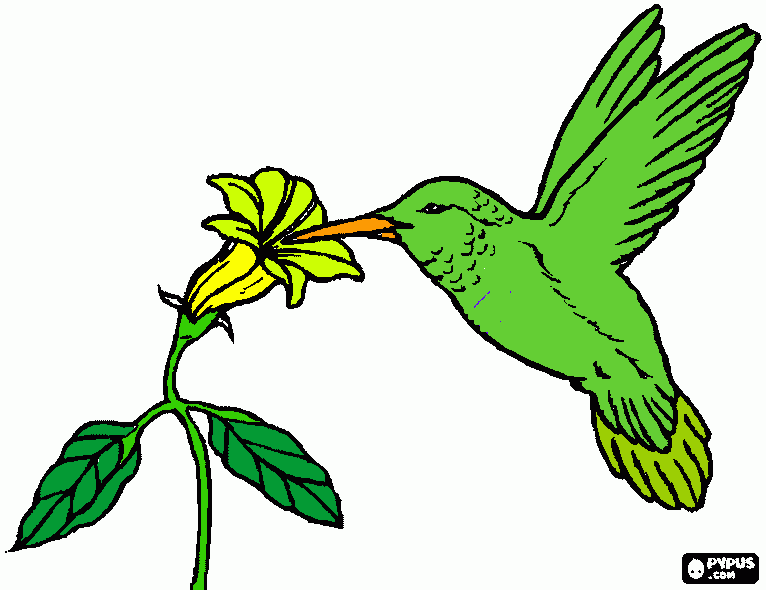 dibujo para hacer un rompecabezas de colibrí y flor para colorear