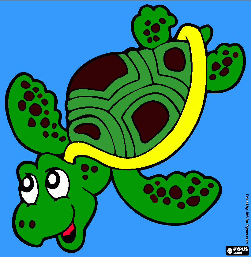 dibujo tortuga para colorear