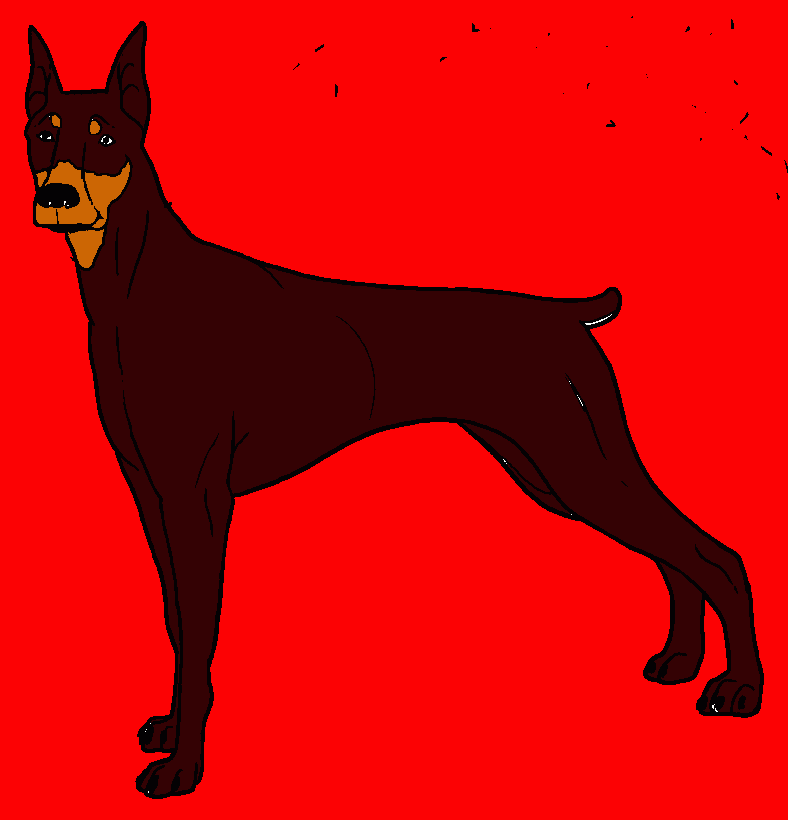 doberman para colorear
