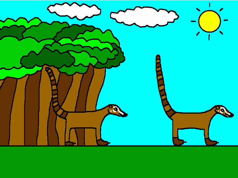 dos coatíes para colorear