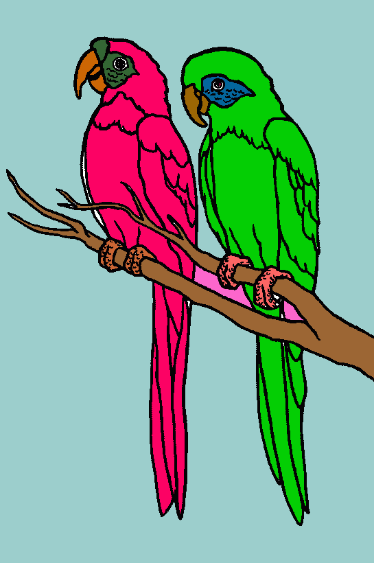 dos cotorras para colorear