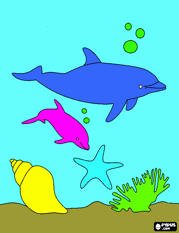 dos delfines pintados  para colorear