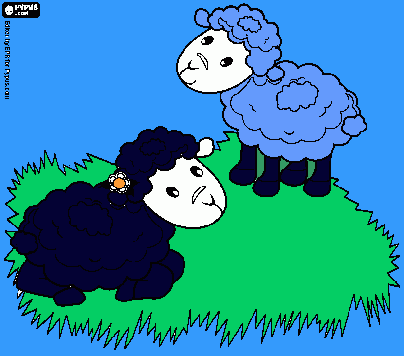 dos ovejas para colorear