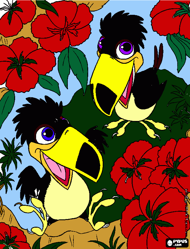 Dos toucans para colorear