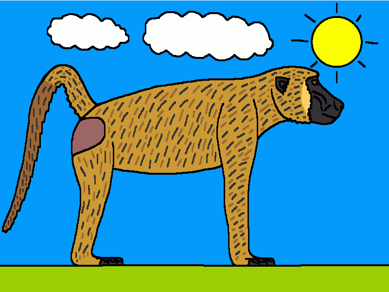 el babuino amarillo para colorear