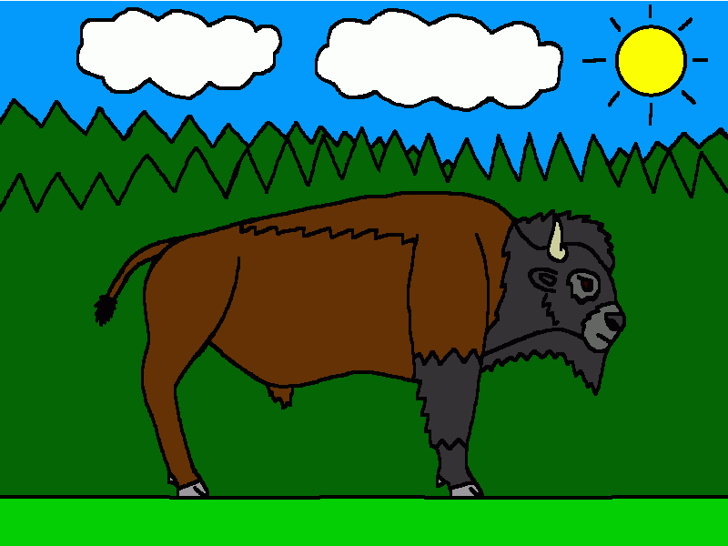 el bisonte americano en la pradera para colorear