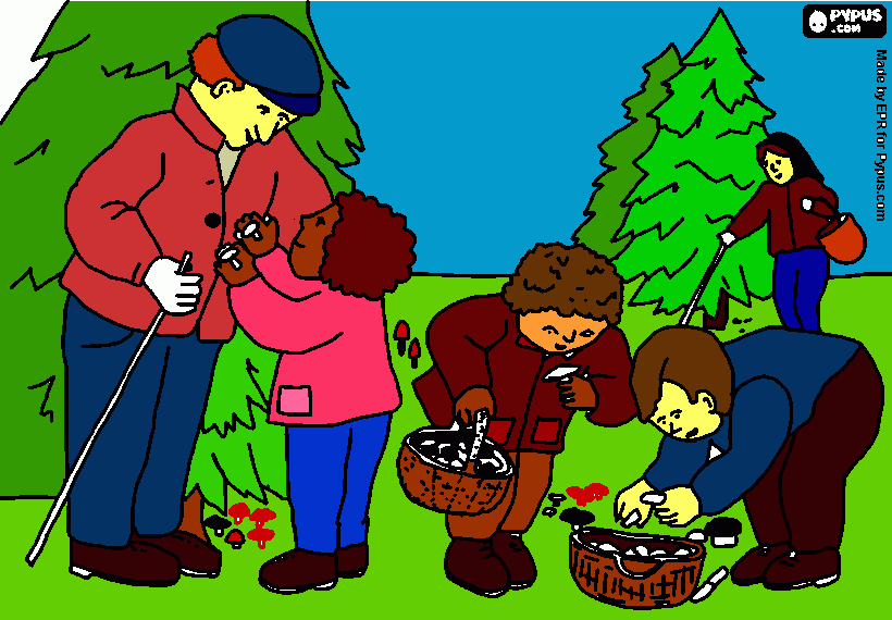 el bosque para colorear