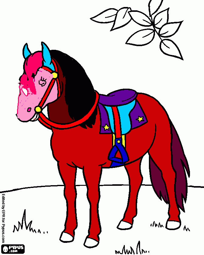 el caballo  mas lindo del  mundo para colorear