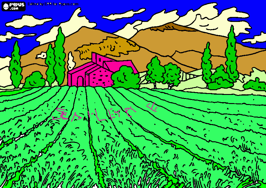 el campo del profe gonzalo para colorear