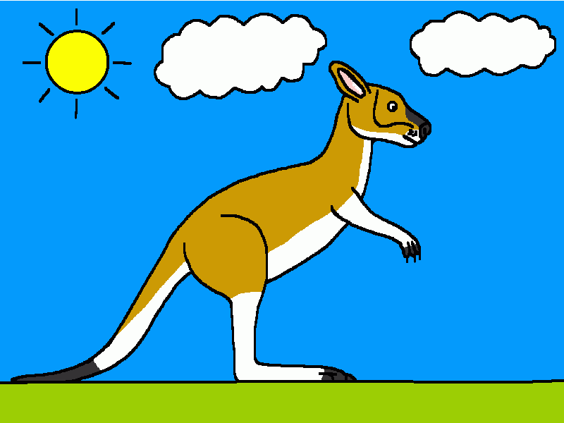 el canguro para colorear