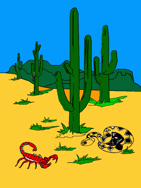 el desierto para colorear