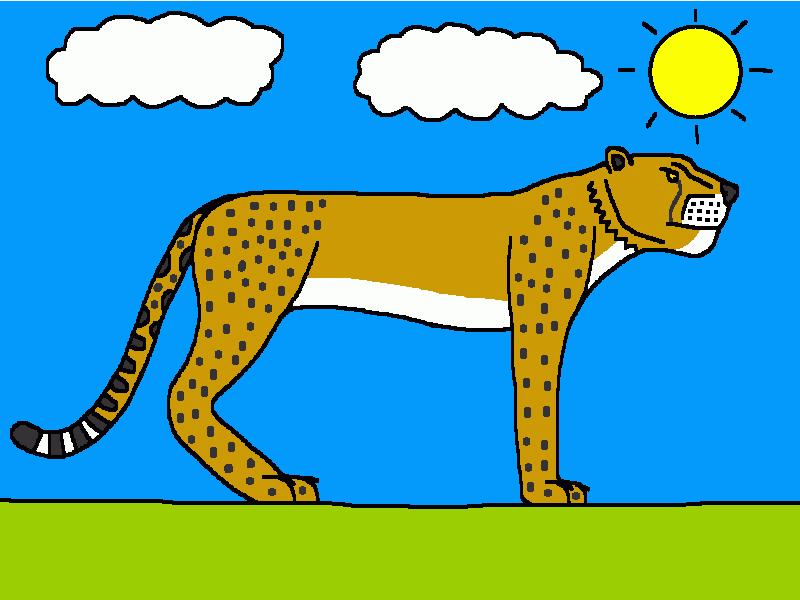 el guepardo americano para colorear
