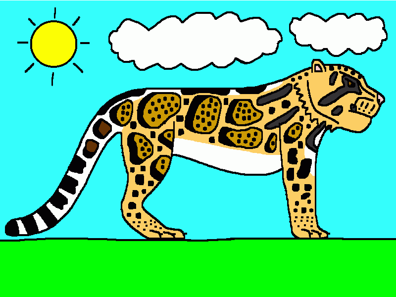 el leopardo nublado para colorear